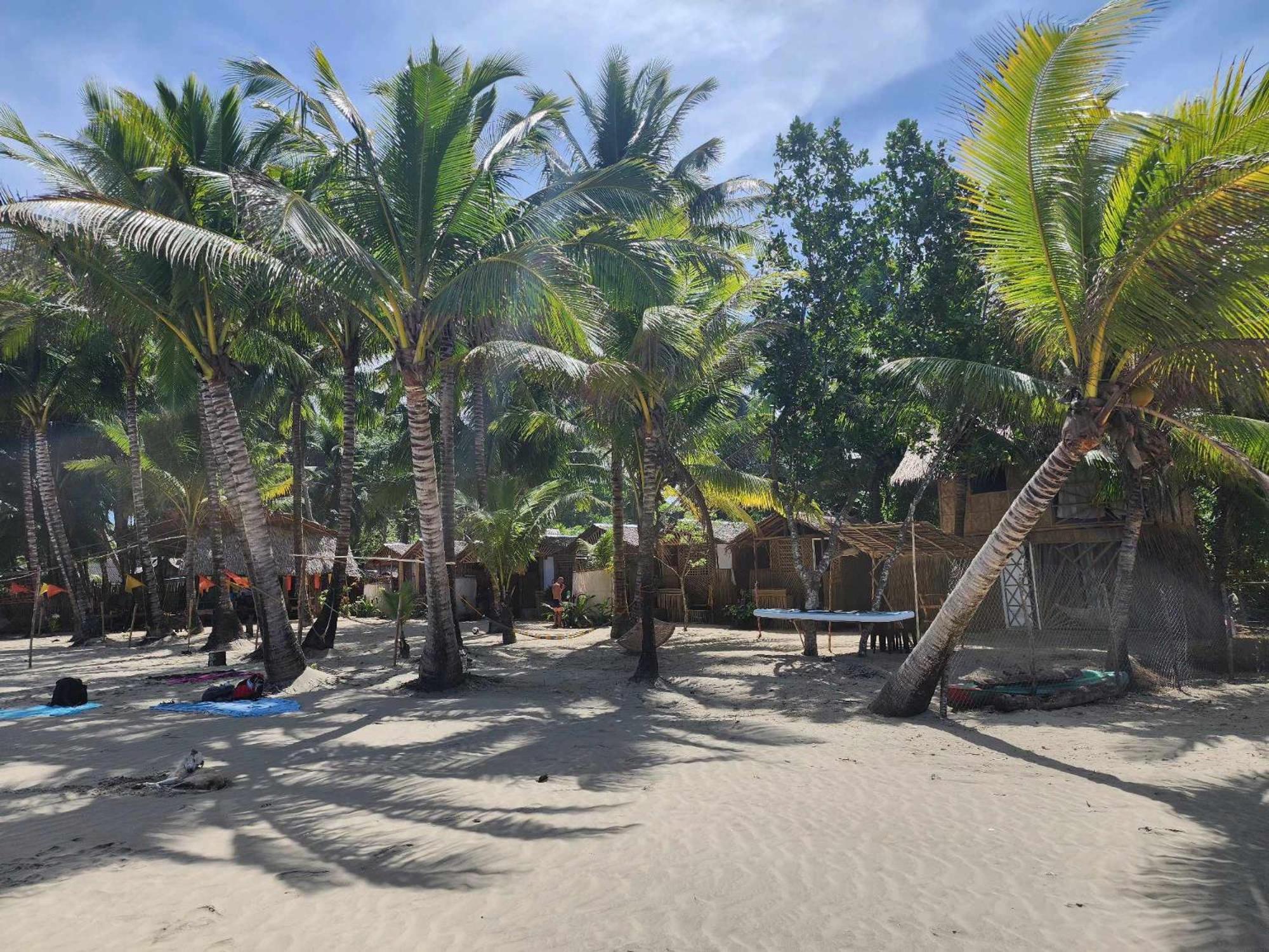 Bice Camp Bucana Beach El Nido Eksteriør bilde
